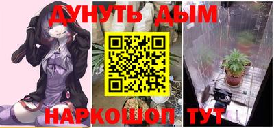 мяу мяу мука Шебекино