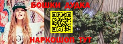 apvp Шелехов