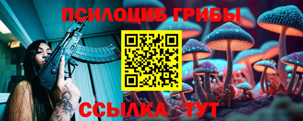 Галлюциногенные грибы Cubensis  Псилоцибиновые грибы GOLDEN TEACHER  Аша  Вход с VPN 